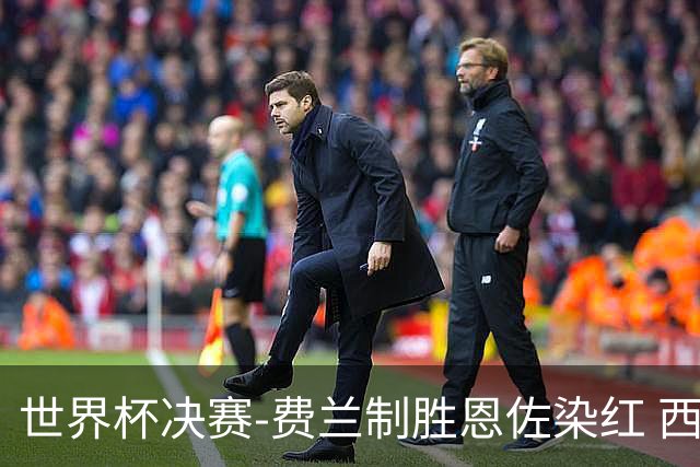 世界杯决赛-费兰制胜恩佐染红 西班牙加时1-0阿根廷夺冠