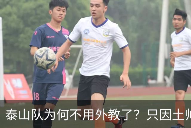 泰山队为何不用外教了？只因土帅便宜、听话、好控制